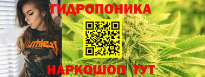 трава Камышлов