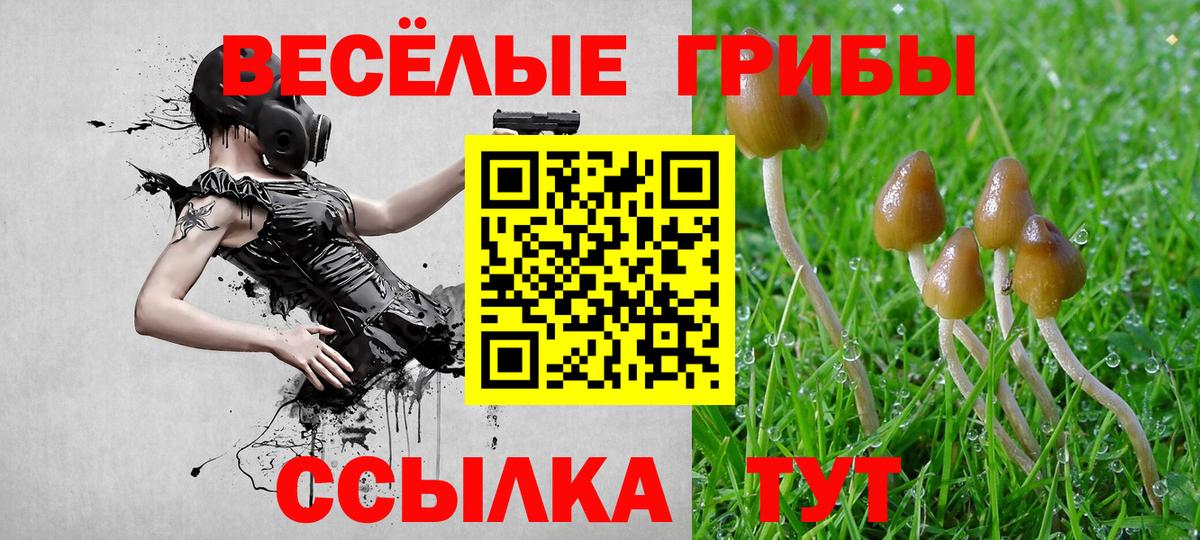 Галлюциногенные грибы Psilocybine cubensis  Вход с VPN  купить наркотик  Кропоткин 