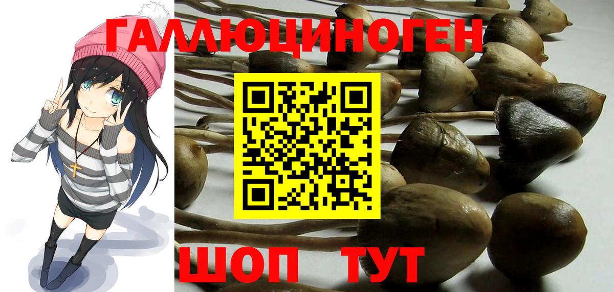 Псилоцибиновые грибы мухоморы Кропоткин